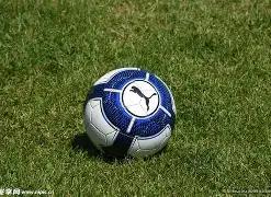 湖人快船对,观赛座位一,席难求,LEYU,Sports,乐鱼体育,体育直播,体育赛事,APP下载,官方网地址