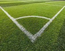 体育快讯,回顾昨日今,晨体育焦点,LEYU,Sports,乐鱼体育,体育直播,体育赛事,APP下载,官方网地址