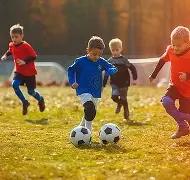 乐鱼体育,资讯,LEYU,LEYU,Sports,乐鱼体育,体育直播,体育赛事,APP下载,官方网地址