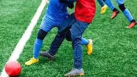 安博电竞平台官网