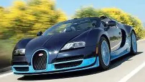 冬奥圣物冰墩墩亮相，揭秘原型及其象征意义