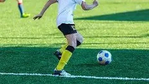 乐鱼体育 产品 103112 gra