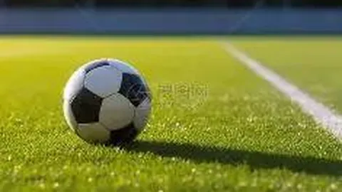 【足球】周二002亚冠赛事：上海海港对决首尔FC