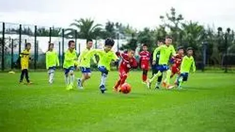 乐鱼体育 产品 095154 g4f